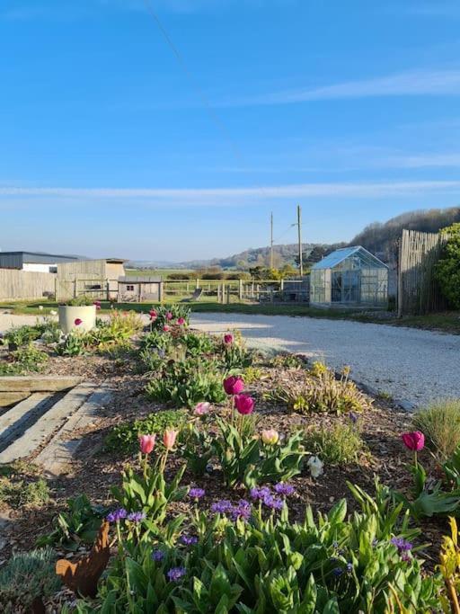 Villa Les Tamaris, Face A La Mer, Emplacement Privilegie Veulettes-sur-Mer